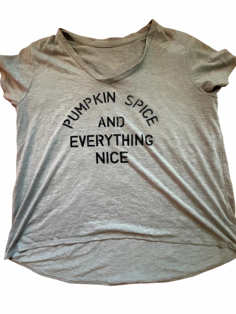 Grayson Threads Gray V-Neck Tee with Pumpkin Spice Graphic